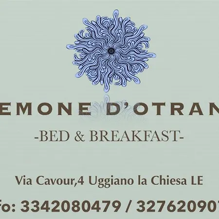 Anemone D'otranto Отель типа 